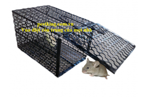 Bẫy chuột lồng sắt vuông